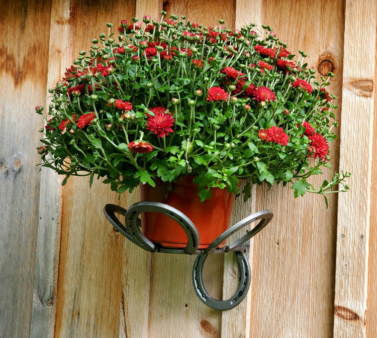 Garden Decor - Black Flag Steel