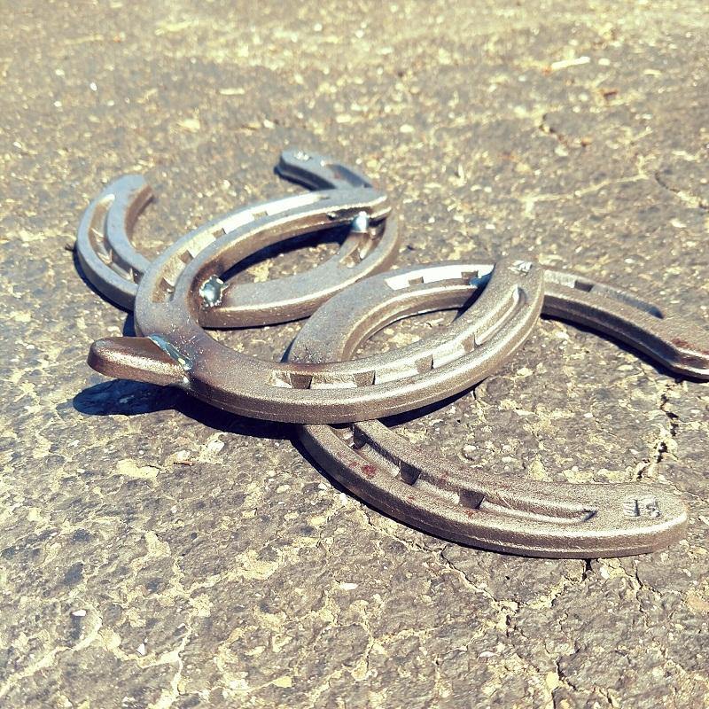 2 Metal Horseshoe Sea Turtles - Black Flag Steel