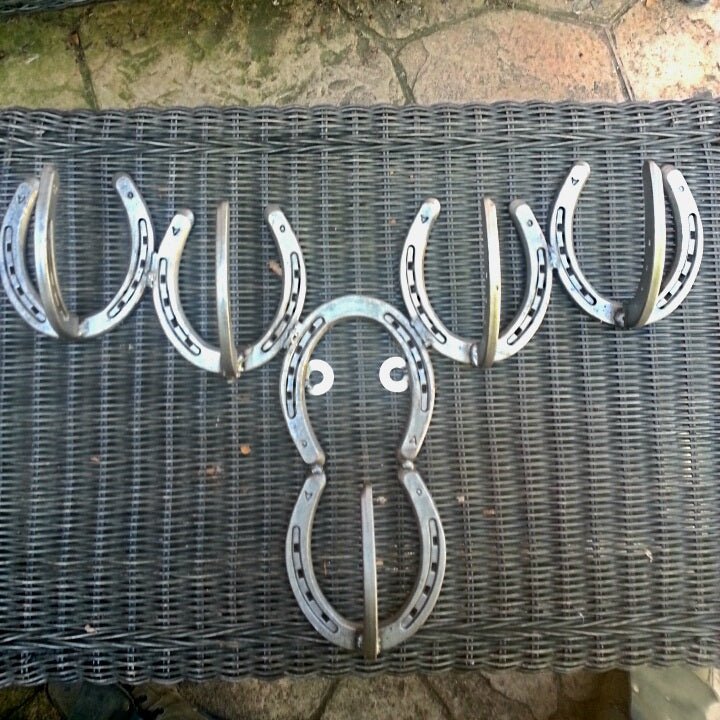 Metal Horseshoe Moose Wall Hanger - Black Flag Steel