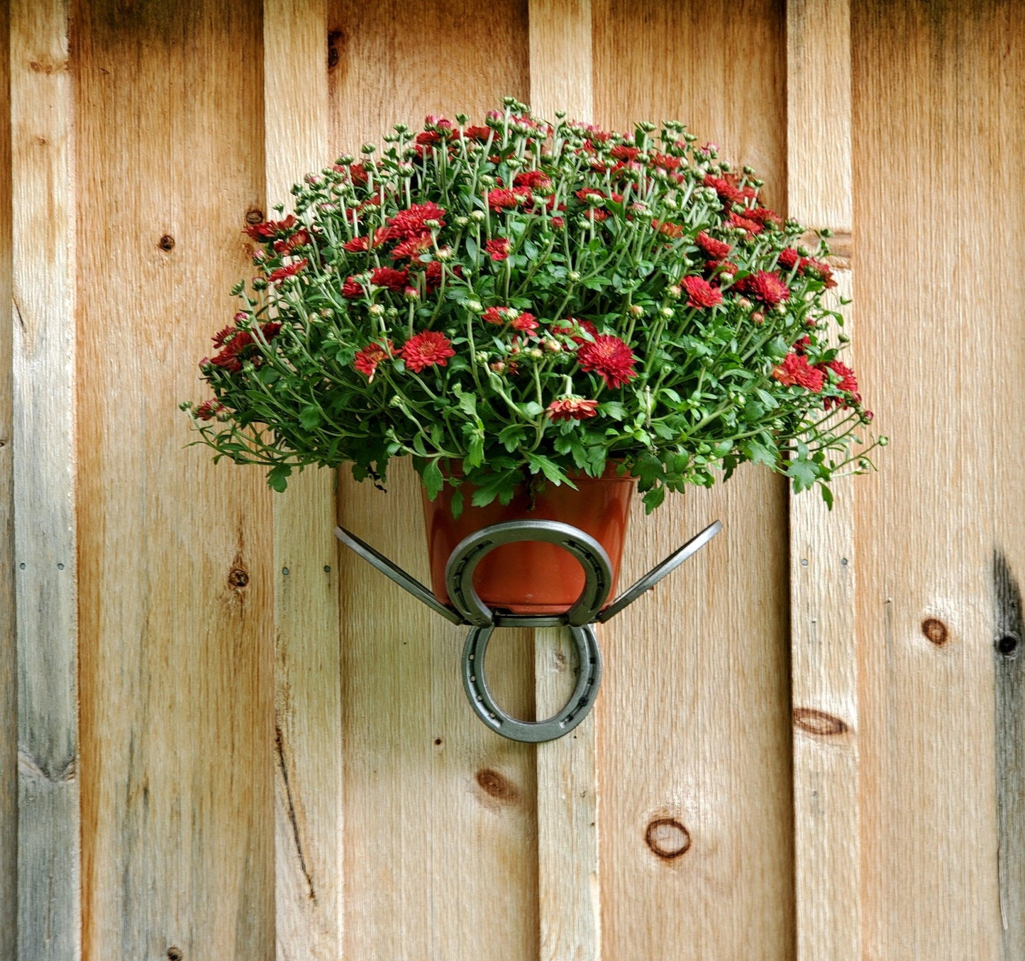 Metal Horseshoe Plant Holder - Black Flag Steel