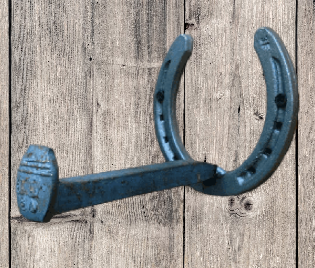 HORSESHOE RAILROAD SPIKE wall Hook, Western Hanger, Horse Lover Gift –  Black Flag Steel