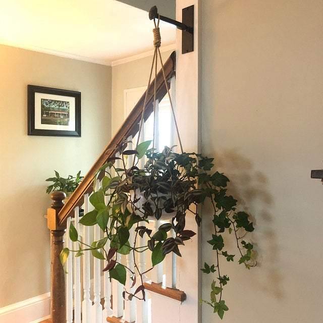 Rustic metal railroad spike hook - Black Flag Steel